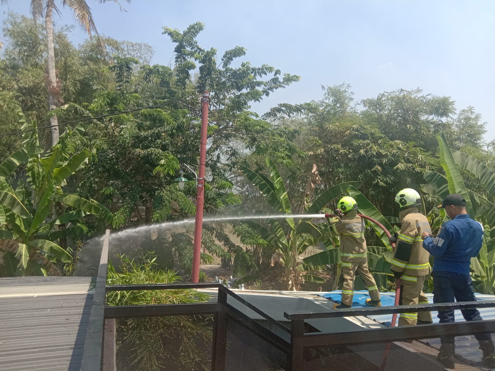 Lahan Kuburan Kosong Tamangapa Di Lalap Api